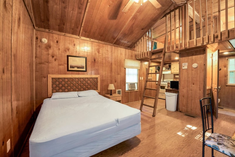 Yogi Bear™ Black Bear-1